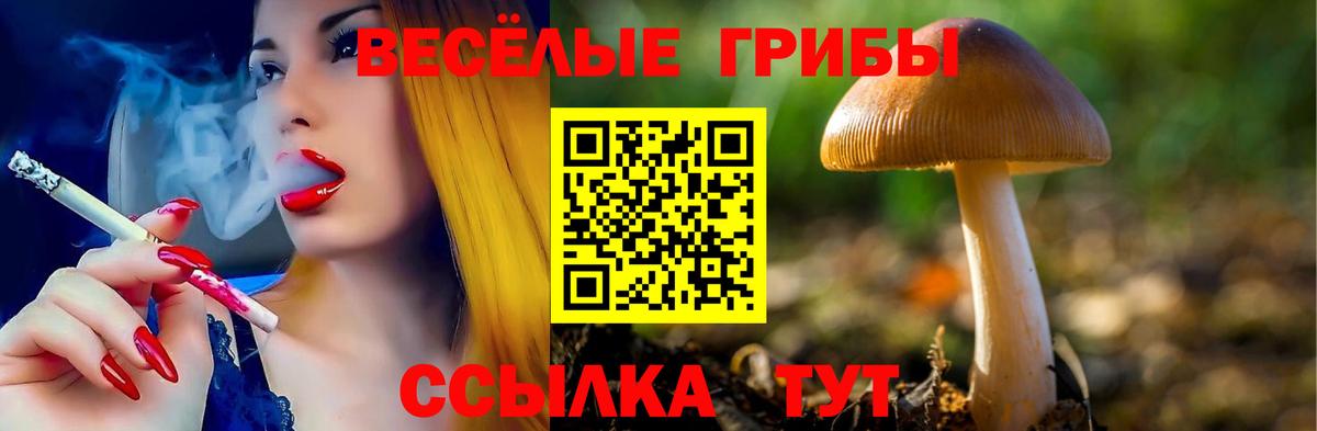 Галлюциногенные грибы прущие грибы  Вход с VPN  Киселёвск 